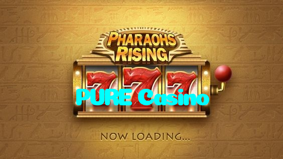 available types of PURE Casino bet including pre-match live express and system bets